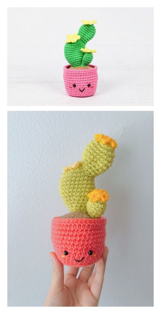 Flowering Cactus Free Crochet Pattern