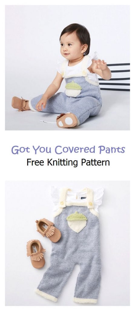 Got You Covered Pants Pattern