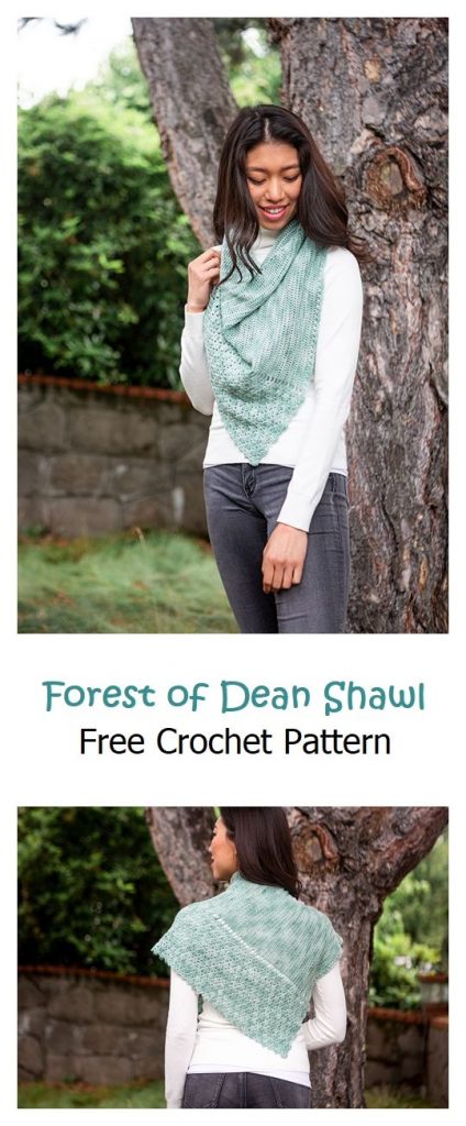 Forest of Dean Shawl Free Crochet Pattern
