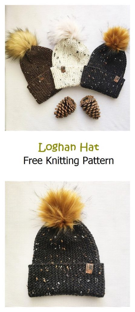 Loghan Hat Free Knitting Pattern