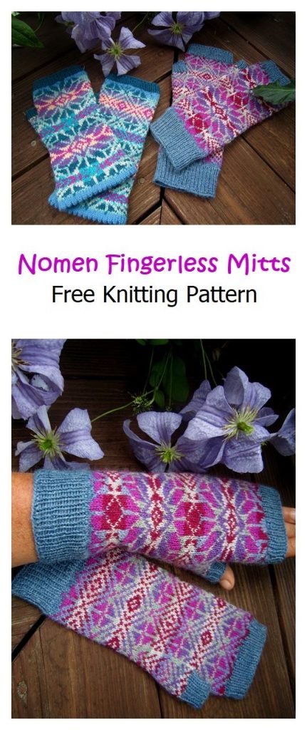 Nomen Fingerless Mitts Free Knitting Pattern