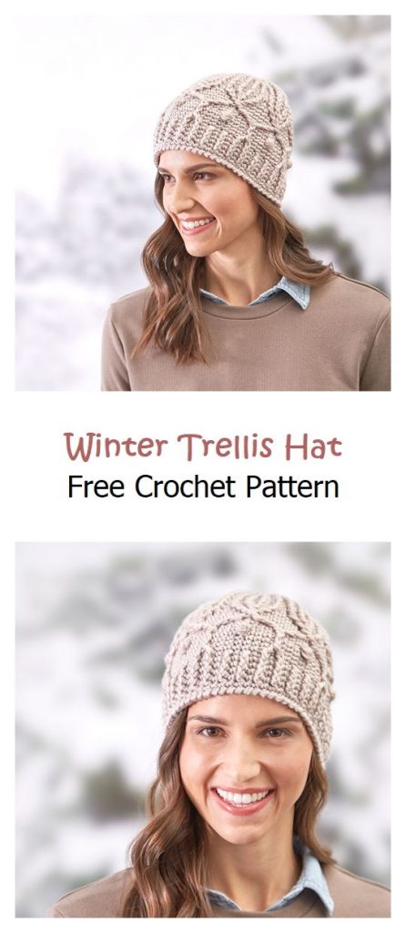Winter Trellis Hat Free Crochet Pattern