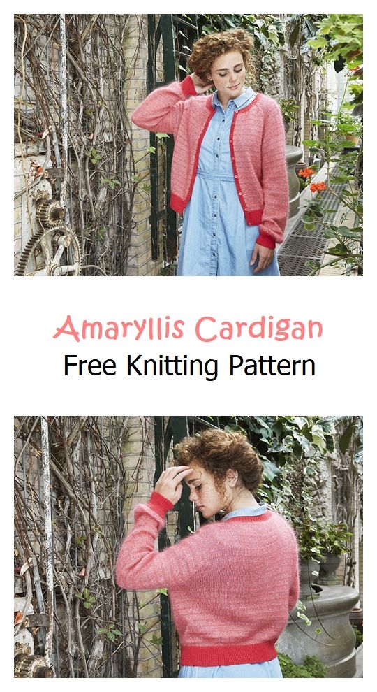 Amaryllis Cardigan Free Knitting Pattern