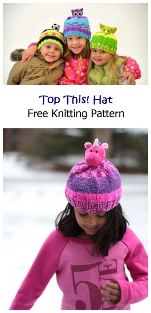Top This! Hat Free Knitting Pattern