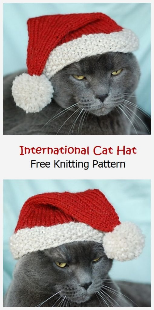 International Cat Hat Free Knitting Pattern