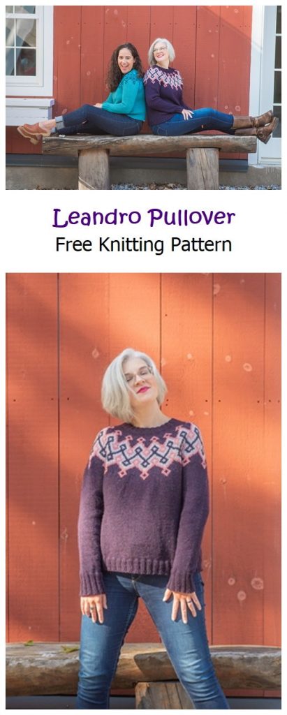 Leandro Pullover Free Knitting Pattern