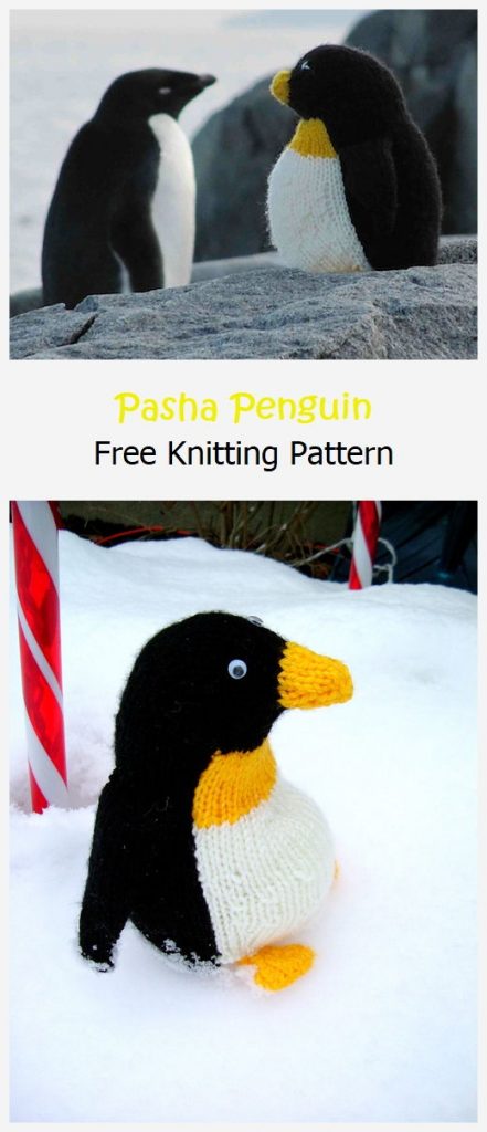 Pasha Free Knitting Pattern
