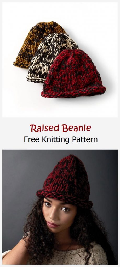 Raised Beanie Free Knitting Pattern