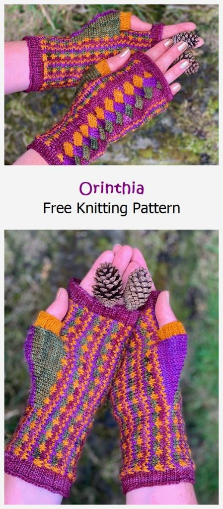 Orinthia Free Knitting Pattern