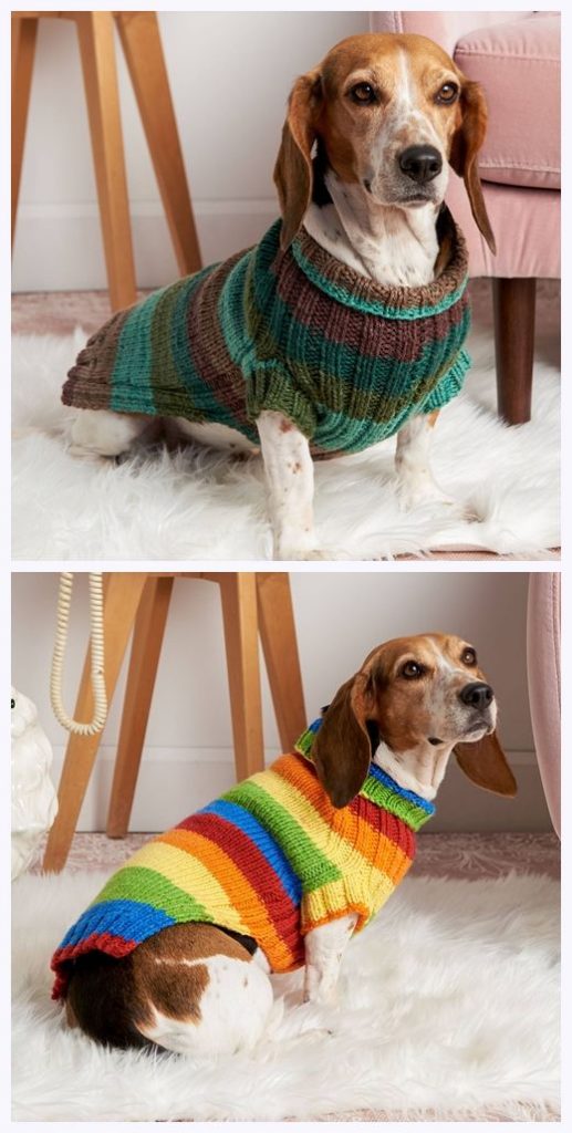 Rainbow Dog Sweater Free Knitting Pattern